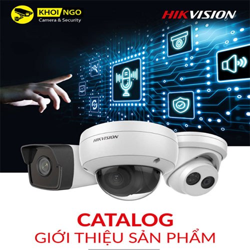 Hikvision